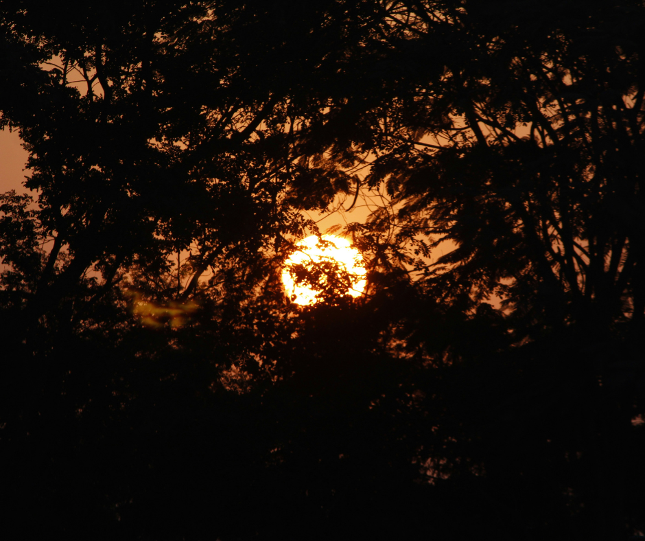 The science of summer and winter solstice 