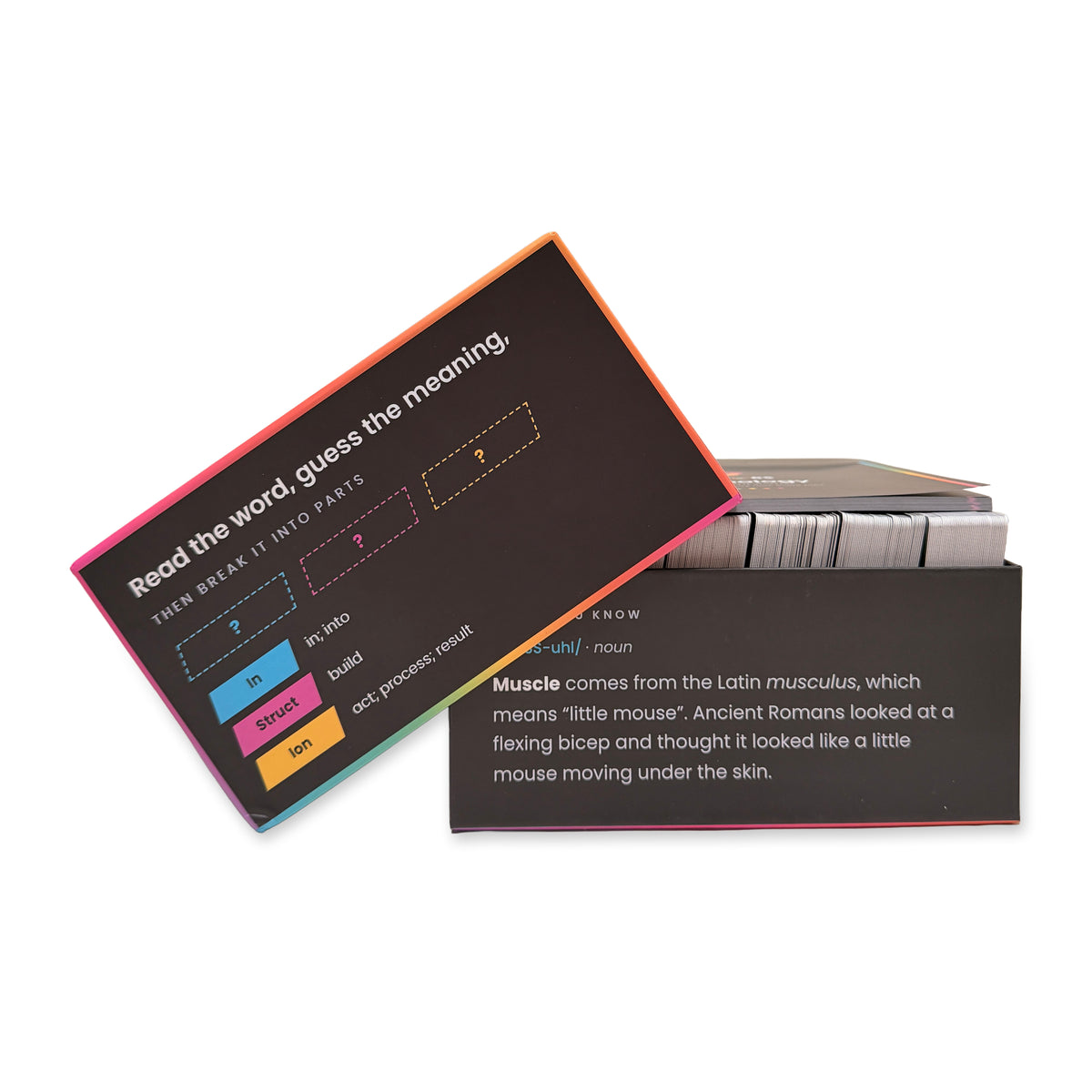 Etymology game box open, showing the colour-coded word card decks inside